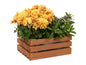 Rustic Wooden Flower Box - Perfect for Garden, Patio, Balcony &amp; Home Decor